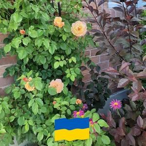 Meet your Posher, Lucie